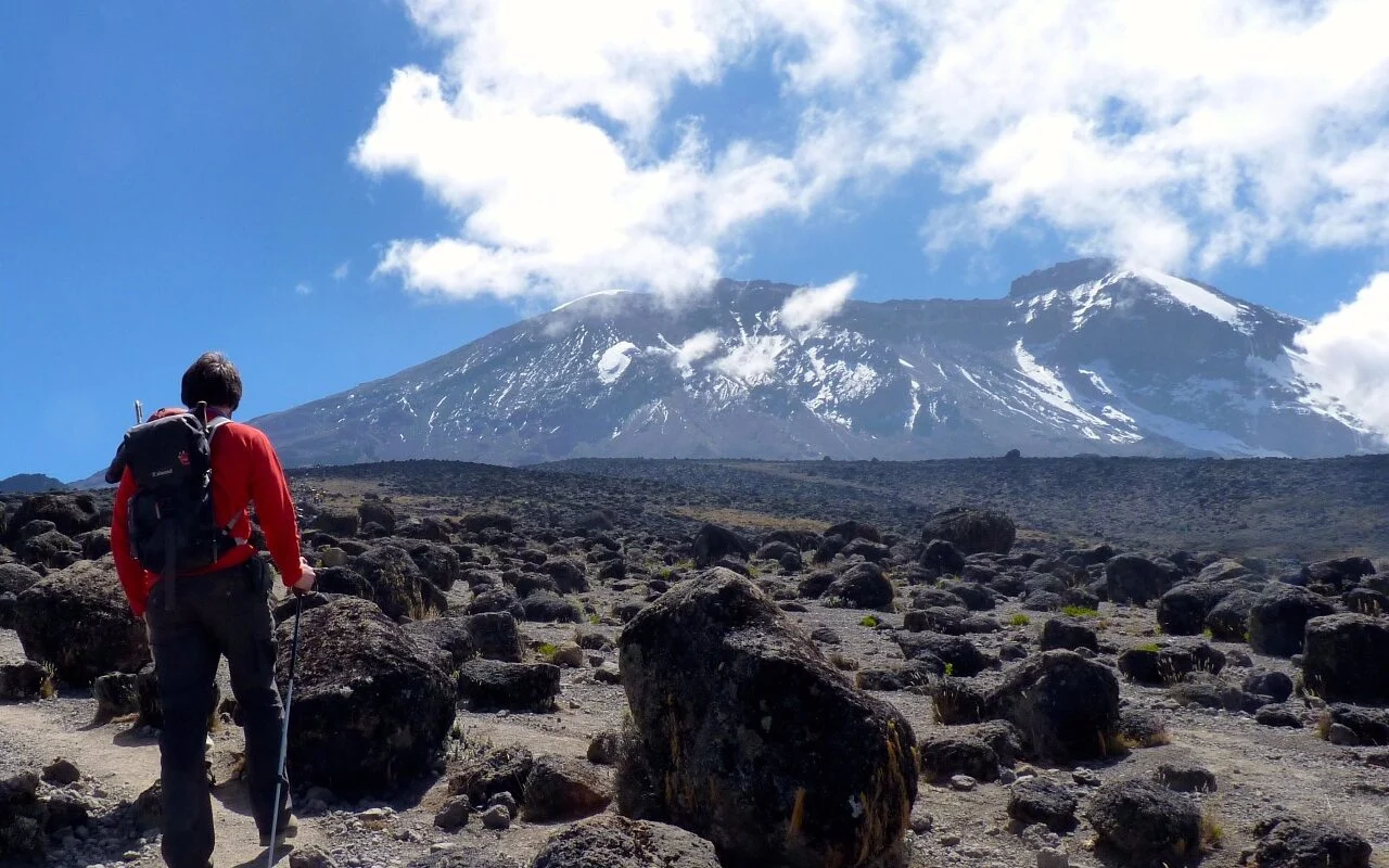 Tour